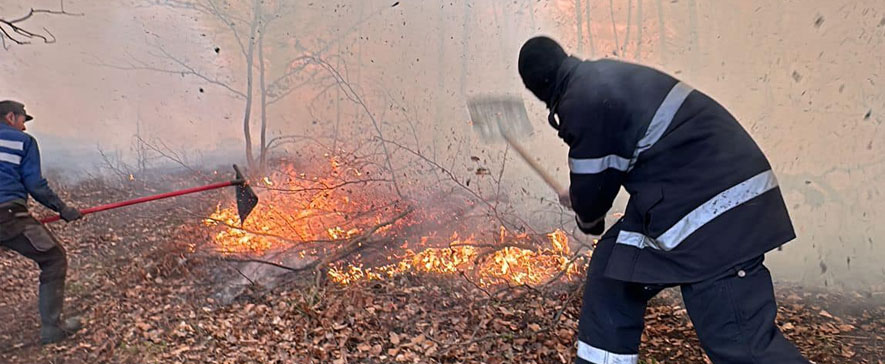 UPDATE 04.04.2024 - Incendiul de la fondul forestier Târgu Ocna continuă, dar fost limitat