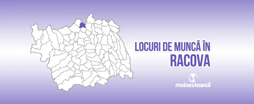 Agent de Securitate (4 posturi)